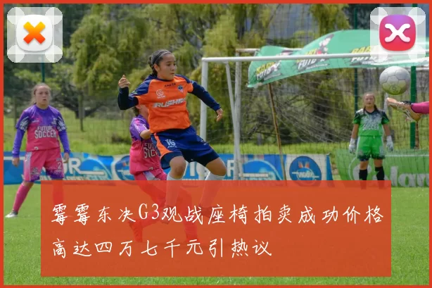 霉霉东决G3观战座椅拍卖成功价格高达四万七千元引热议