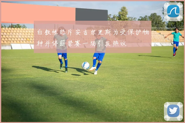 白教练怒斥安吉尔里斯为受保护物种并停薪禁赛一场引发热议